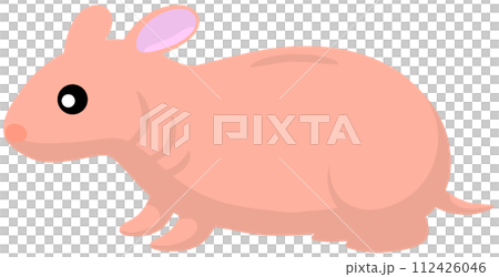 スキニーハムスター 112426046