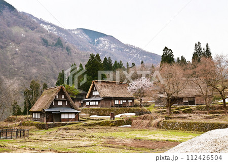 五箇山合掌集落 桜と合掌造り集落 富山県観光スポット 相倉集落 日本の原風景 世界遺産 五箇山合掌集落 桜と合掌造り集落 富山県観光スポット 相倉集落 日本の原風景 世界遺産 112426504