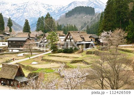 五箇山合掌集落 桜と合掌造り集落 富山県観光スポット 相倉集落 日本の原風景 世界遺産 五箇山合掌集落 桜と合掌造り集落 富山県観光スポット 相倉集落 日本の原風景 世界遺産 112426509