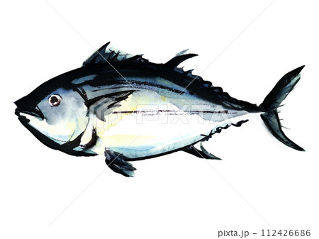 魚、マグロの水彩風イラスト 112426686