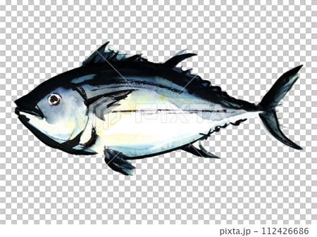 魚、マグロの水彩風イラスト 112426686