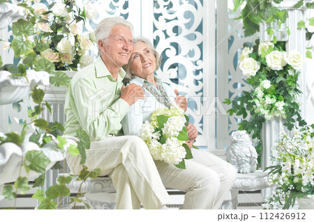 Happy beautiful senior couple posing together at home 112426912