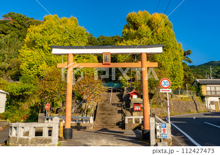 宮浦宮の夫婦銀杏の風景（霧島市福山町） 112427473