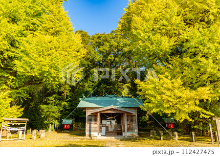 宮浦宮の夫婦銀杏の風景（霧島市福山町） 112427475