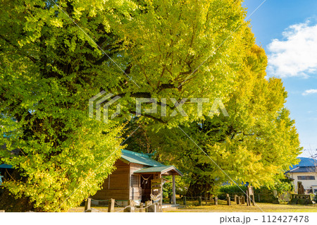 宮浦宮の夫婦銀杏の風景（霧島市福山町） 112427478