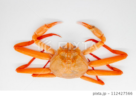 ベニズワイガニ 白背景と生の紅ズワイ蟹 ベニズワイガニ 白背景と生の紅ズワイ蟹 112427566