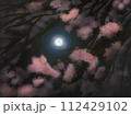 満開の夜桜の間から見える月の光 112429102