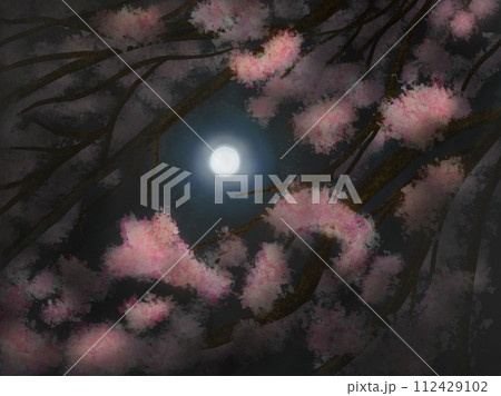 満開の夜桜の間から見える月の光 満開の夜桜の間から見える月の光 112429102