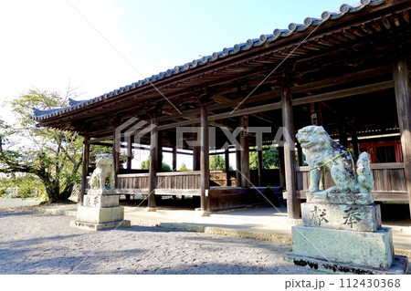 浄土寺浄土堂に隣接した八幡神社拝殿の狛犬の風景 兵庫県小野市 浄土寺浄土堂に隣接した八幡神社拝殿の狛犬の風景 兵庫県小野市 112430368