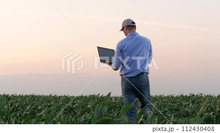 Agriculturalist with laptop strolls overseeing growth of corn. Agronomist collects data about corn cultivation using laptop. Skilled farmer holding laptop assesses progress of corn plantation 112430408