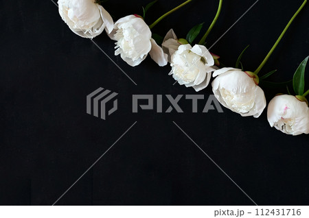 Fresh white peonies on a black, dark background. A condolence card. Wedding date. An invitation to a holiday. Congratulation.An empty space for text. View from above. He was lying flat. 112431716