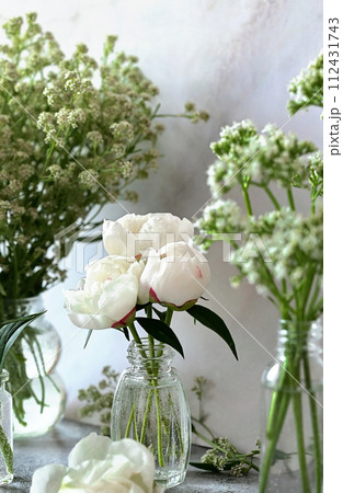 Fresh white gypsophila, piones on a white background. Wedding date. An invitation to a holiday. Congratulation.An empty space for text. View from above. Fresh white gypsophila, piones on a white background. Wedding date. An invitation to a holiday. Congratulation.An empty space for text. View from above. 112431743