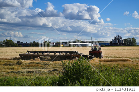 Combine harvester harvests ripe wheat. Ripe ears of gold field on the sunset cloudy orange sky background. . Concept of a rich harvest. Agriculture image. 112431913