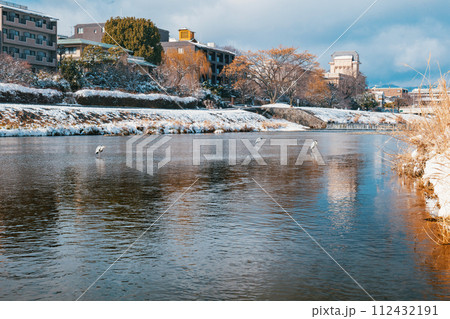 京都 鴨川の雪景色 112432191