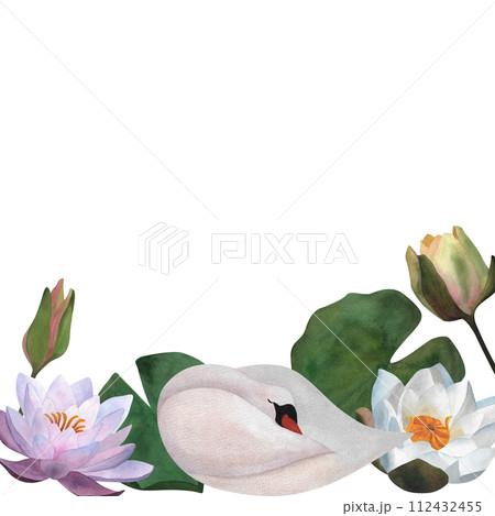 Watercolor white swan sleeping with waterlilies buds leaves Cute illustration for Women's day 2024, baby decor 2024 spa logos postcards, posters templates, polygraphy Floral composition Young bird Cub Watercolor white swan sleeping with waterlilies buds leaves Cute illustration for Women's day 2024, baby decor 2024 spa logos postcards, posters templates, polygraphy Floral composition Young bird Cub 112432455