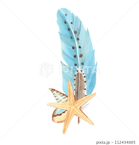 Watercolor composition from small sea shells, sea star and blue feather isolated on white background. Hand drawn illustration. 112434005