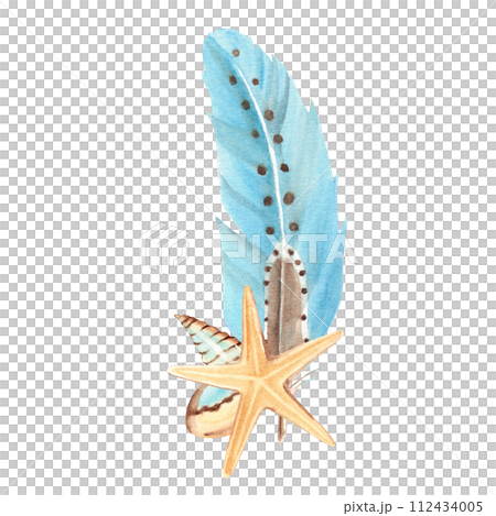 Watercolor composition from small sea shells, sea star and blue feather isolated on white background. Hand drawn illustration. 112434005