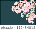 桜のデザインテンプレート。手描きの背景素材。和風。 112434018