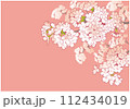 桜のデザインテンプレート。手描きの背景素材。和風。 112434019