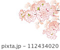 桜のデザインテンプレート。手描きの背景素材。和風。 112434020