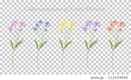 Small flowers, botanicals, flower color variations, vector illustration material 112434048
