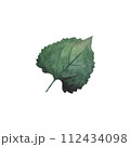 Watercolor natural green leaf Summer foliage Greenery isolated Verdant Watercolor Hand drawn botanical illustration for postcard logo pattern 112434098