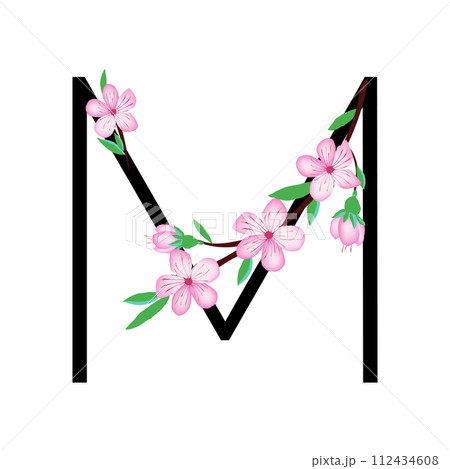 ABC-Flower 112434608