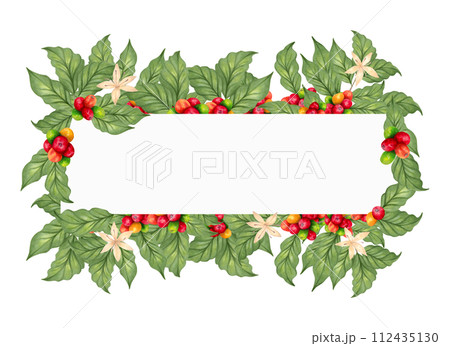 Banner made of coffee tree branches with flowers. Botanical frame with Arabica and Robusta coffee varieties.Watercolor illustration. Coffee day. Production, processing. Hand drawing isolated. 112435130