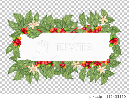 Banner made of coffee tree branches with flowers. Botanical frame with Arabica and Robusta coffee varieties.Watercolor illustration. Coffee day. Production, processing. Hand drawing isolated. 112435130