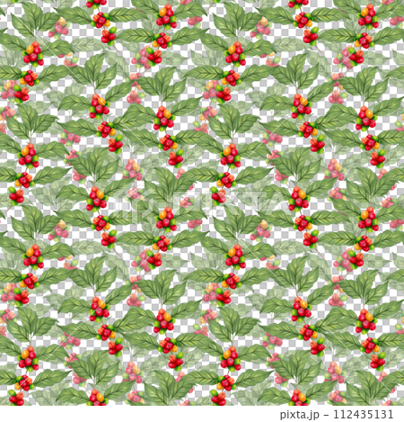 Seamless pattern of coffee branch with leaves. International Coffee Day. Botanical illustration with watercolors and markers. Hand drawn isolated. Suitable for background, cover, coffee packaging. 112435131