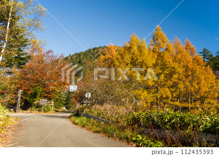 野麦峠周辺の鮮やかな紅葉【お助け小屋入口周辺】 112435393