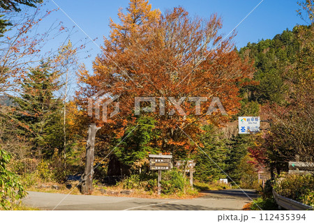 野麦峠周辺の鮮やかな紅葉【お助け小屋入口周辺】 野麦峠周辺の鮮やかな紅葉【お助け小屋入口周辺】 112435394