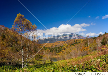 紅葉ピークの野麦峠から望む乗鞍岳 112435427