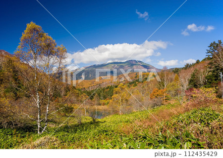紅葉ピークの野麦峠から望む乗鞍岳 112435429