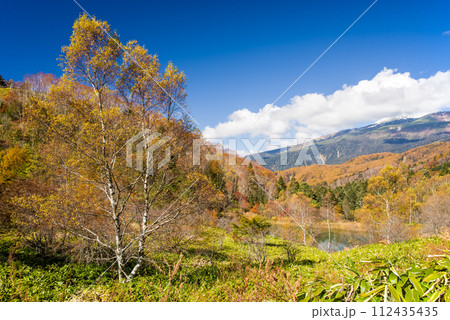 紅葉ピークの野麦峠から望む乗鞍岳 112435435