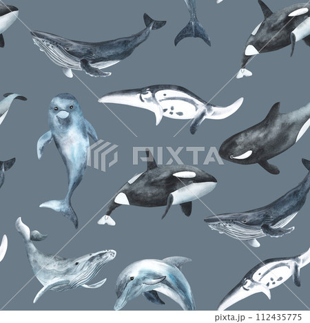 Seamless pattern. Repeating texture with marine mammals. Watercolor illustration. Dolphin, killer whale, humpback whale. Hand drawn isolated on a white background. Textile, fabric, wallpaper Seamless pattern. Repeating texture with marine mammals. Watercolor illustration. Dolphin, killer whale, humpback whale. Hand drawn isolated on a white background. Textile, fabric, wallpaper 112435775