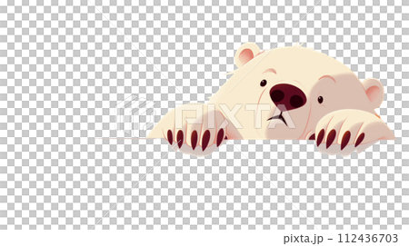 Polar bear 112436703