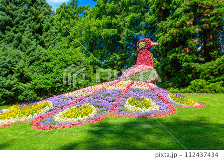 Peacock made of flowers on the island of flowers Mainau on Lake Constance, Germany Peacock made of flowers on the island of flowers Mainau on Lake Constance, Germany 112437434