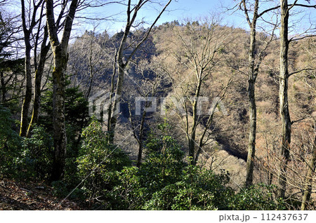 丹沢の辺室山 辺室山縦走コースより能ノ爪を望む 丹沢の辺室山 辺室山縦走コースより能ノ爪を望む 112437637
