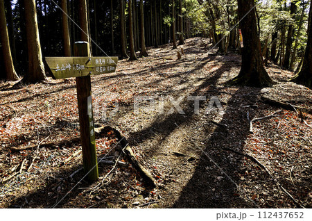 丹沢の辺室山　辺室山縦走コース　樹影が伸びる冬の山地 112437652