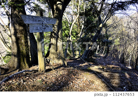 丹沢の辺室山 辺室山縦走コースの山道 丹沢の辺室山 辺室山縦走コースの山道 112437653