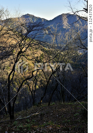 朝焼けの相州アルプスの経ヶ岳と華厳山を望む 丹沢の大山三峰山より 朝焼けの相州アルプスの経ヶ岳と華厳山を望む 丹沢の大山三峰山より 112437820