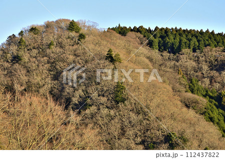 朝日を浴びる辺室山を望む 丹沢の大山三峰山より 朝日を浴びる辺室山を望む 丹沢の大山三峰山より 112437822