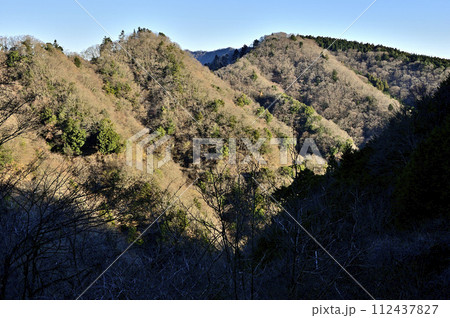 朝日を浴びる辺室山を望む　丹沢の大山三峰山より 112437827