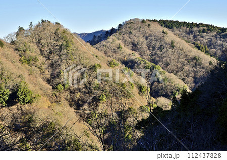 朝日を浴びる辺室山を望む 丹沢の大山三峰山より 朝日を浴びる辺室山を望む 丹沢の大山三峰山より 112437828