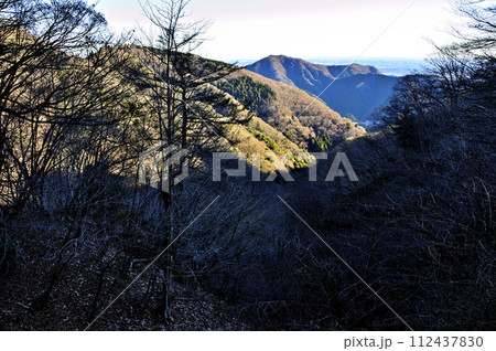 朝日の辺室山と相州アルプスを望む 丹沢の物見峠より 朝日の辺室山と相州アルプスを望む 丹沢の物見峠より 112437830