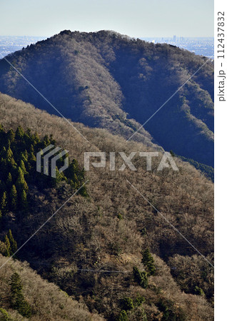 朝日の相州アルプス　華厳山を望む　丹沢の物見峠より 112437832