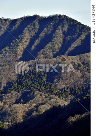 丹沢の能ノ爪　鍋嵐東尾根より相州アルプスを望む 112437844