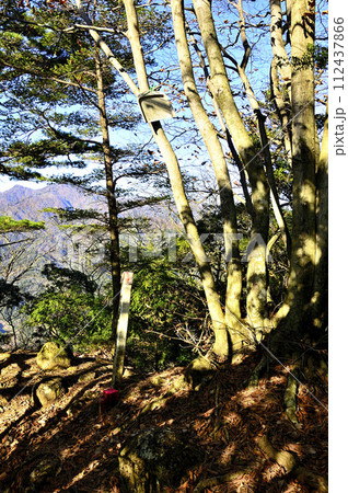 丹沢の鍋嵐山頂 丹沢の鍋嵐山頂 112437866