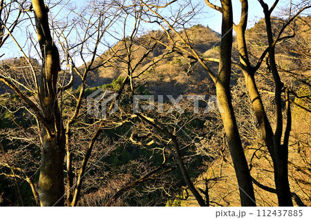 朝を迎えた山地 丹沢の大山三峰の森 朝を迎えた山地 丹沢の大山三峰の森 112437885
